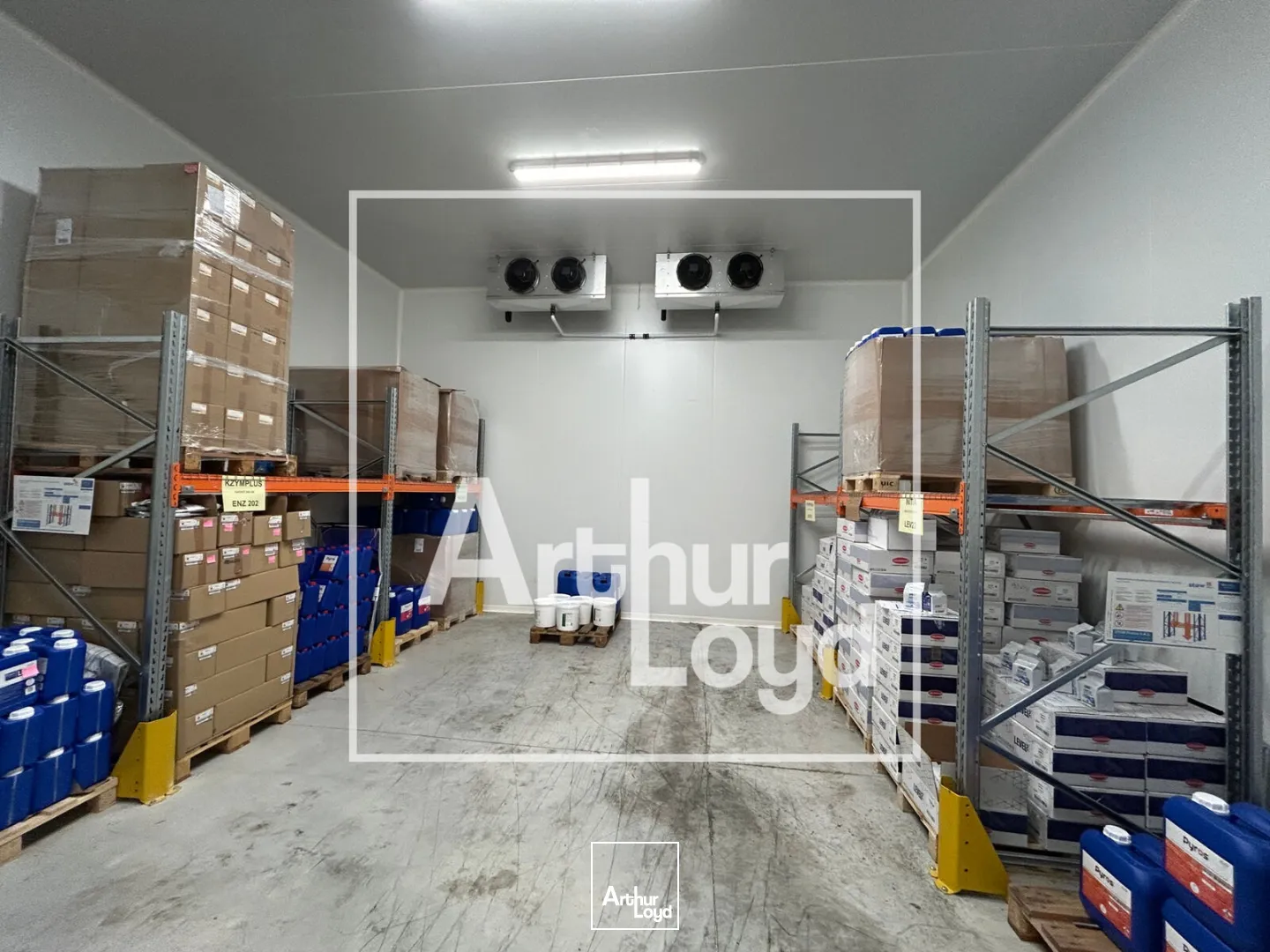 Locaux d'activité & Entrepôts - Vente - BEZIERS - 34500 - 982-982 - 7839049