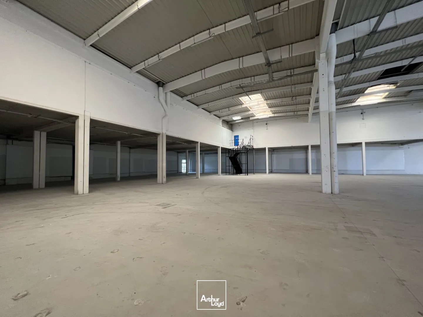 Locaux d'activité & Entrepôts - Location - ROISSY EN FRANCE - 95700 - 3824-3824 - 7839163