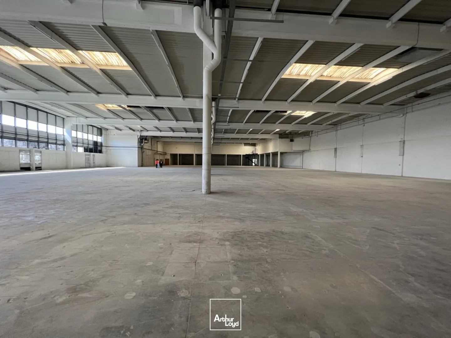 Locaux d'activité & Entrepôts - Location - ROISSY EN FRANCE - 95700 - 3824-3824 - 7839162