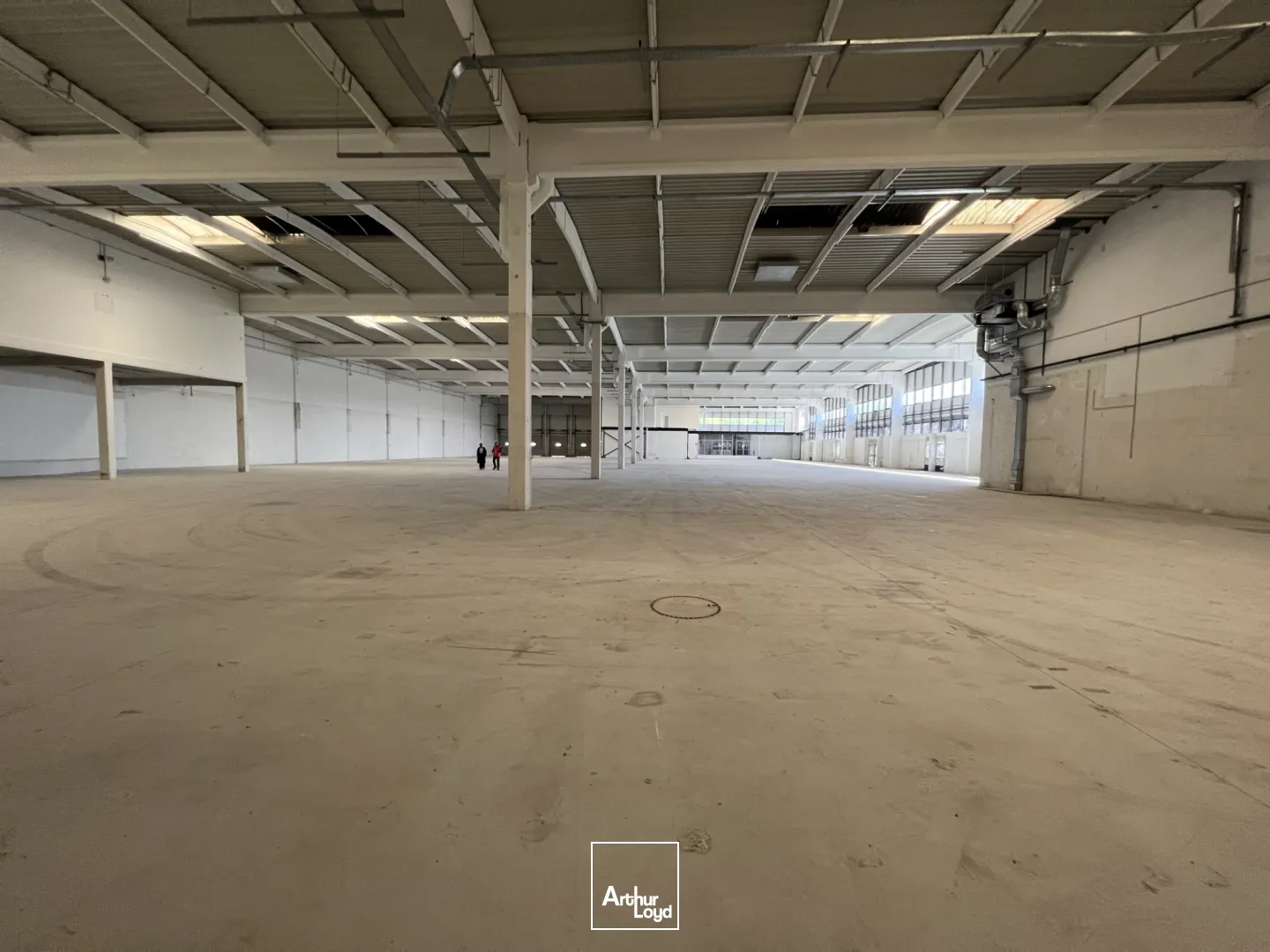 Locaux d'activité & Entrepôts - Location - ROISSY EN FRANCE - 95700 - 3824-3824 - 7839158
