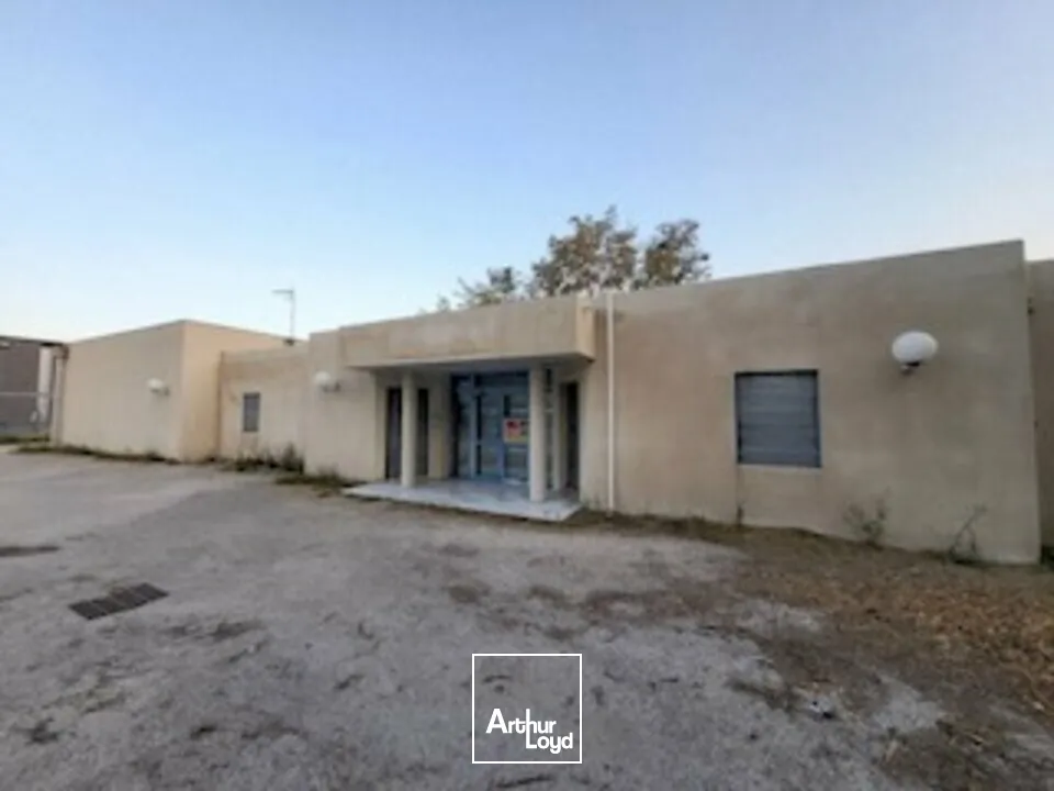 Bureaux - Vente - AVIGNON - 84000 - 366-366 - 7847961