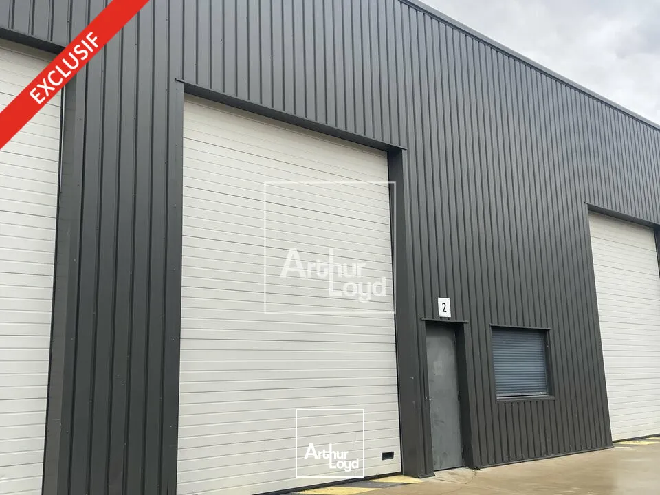 Locaux d'activité & Entrepôts - Location - CESSON - 77240 - 253-253 - 7848037