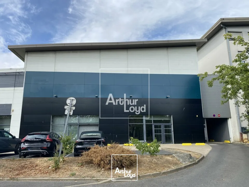 Locaux commerciaux - Location - LES ULIS - 91940 - 842-842 - 7848039