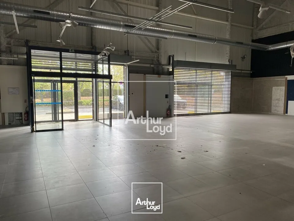 Locaux commerciaux - Location - LES ULIS - 91940 - 842-842 - 7848040