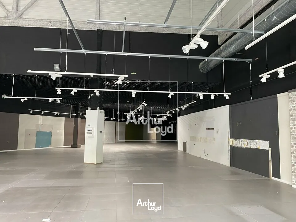 Locaux commerciaux - Location - LES ULIS - 91940 - 842-842 - 7848041