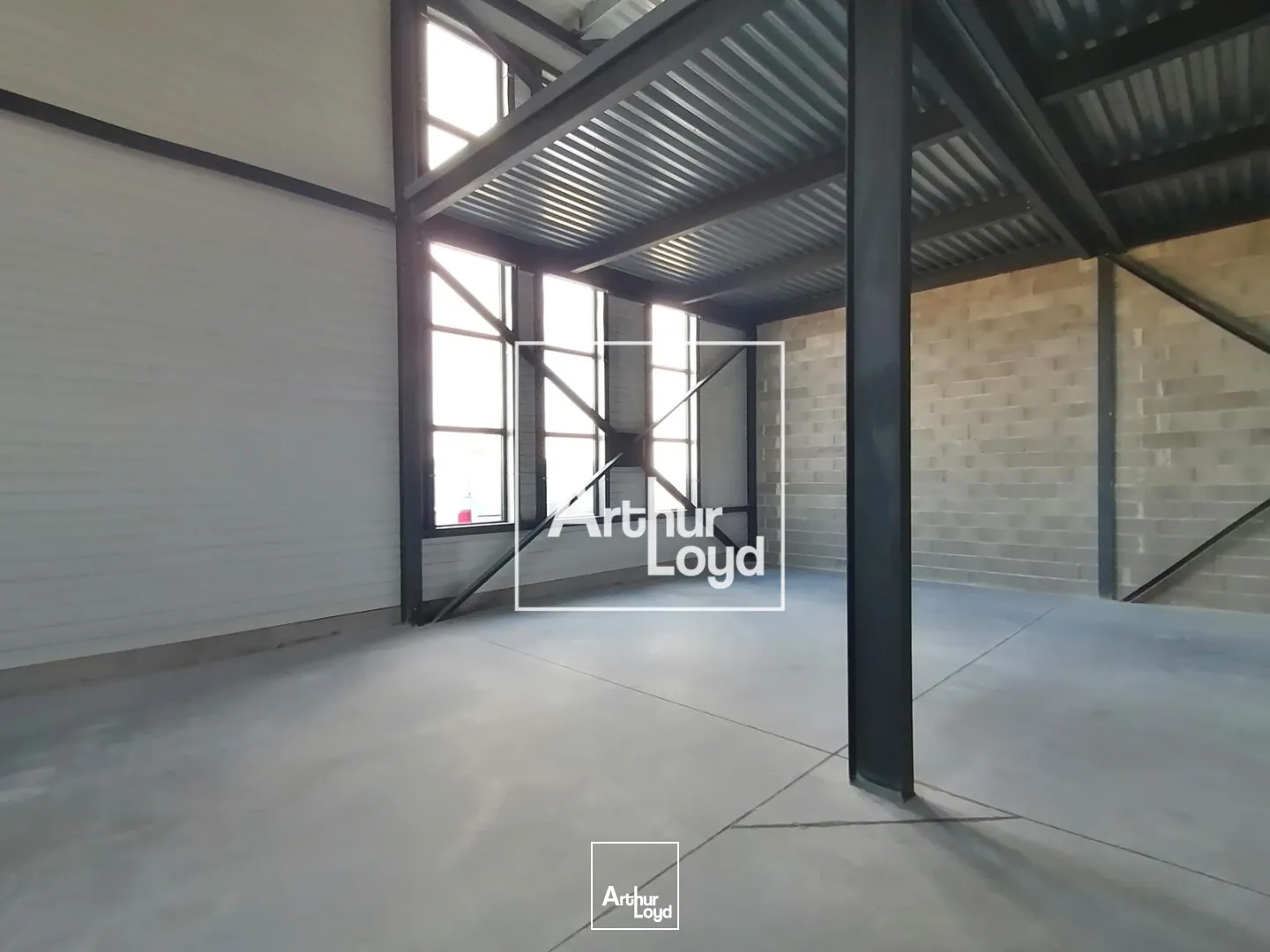 Locaux d'activité & Entrepôts - Location - SAINT GEORGES D'ORQUES - 34680 - 236-236 - 7848099