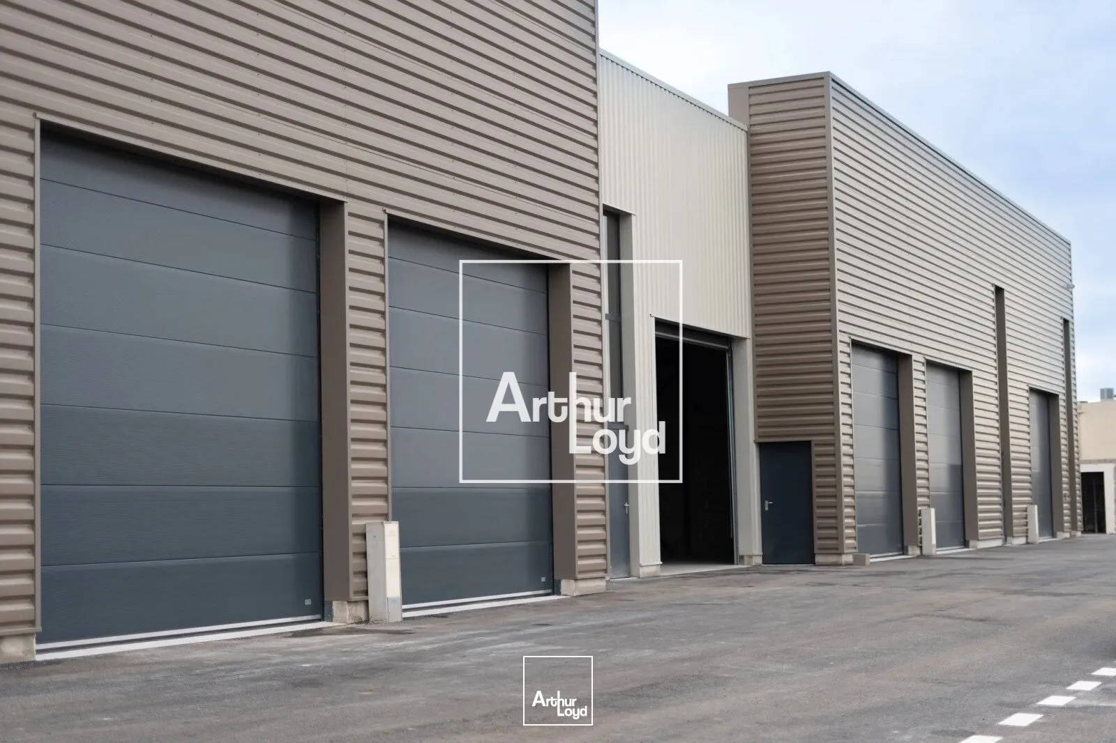 Locaux d'activité & Entrepôts - Location - SAINT GEORGES D'ORQUES - 34680 - 236-236 - 7848096