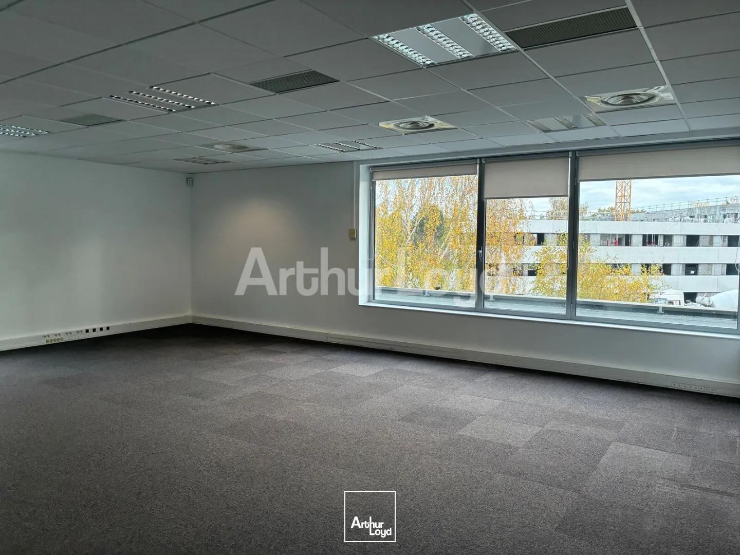 Bureaux - Location - VILLENEUVE D'ASCQ - 59650 - 222-1293.9 - 7854393