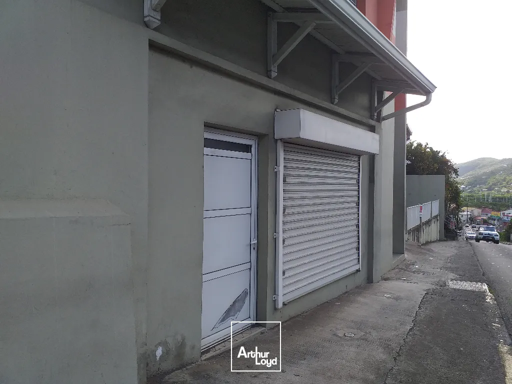 Locaux commerciaux - Location - Le Marin - 97290 - 25-25 - 7856146