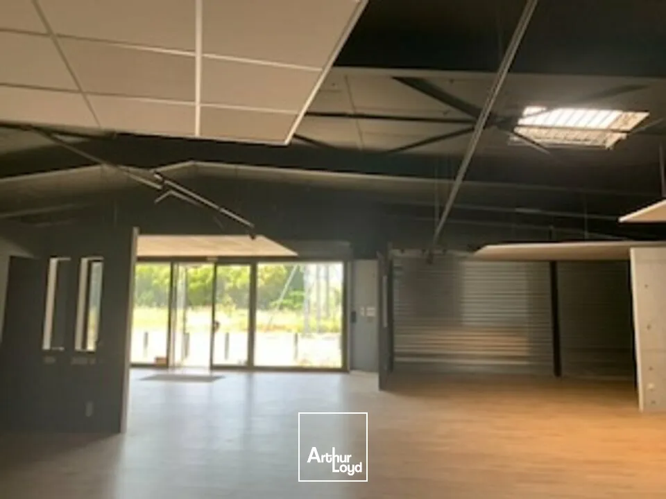 Locaux commerciaux - Location - AVIGNON - 84000 - 1200-1200 - 7856161