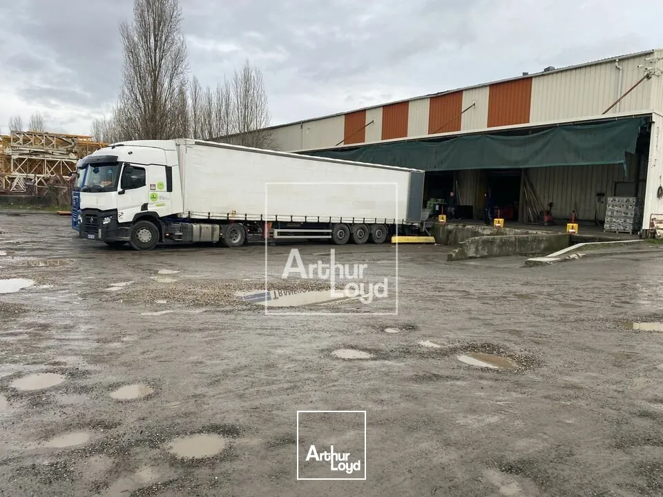 Locaux d'activité & Entrepôts - Vente - BRETIGNY SUR ORGE - 91220 - 4650-4650 - 7856275