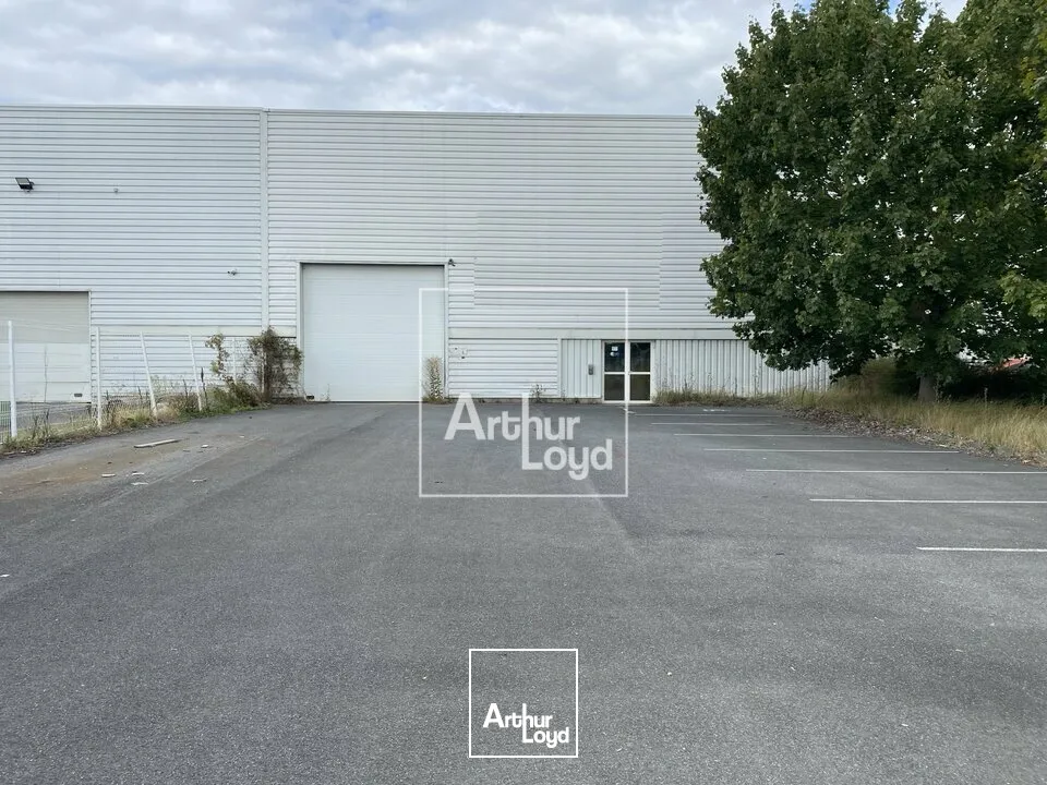 Locaux d'activité & Entrepôts - Location - MORANGIS - 91420 - 1100-1100 - 7856291