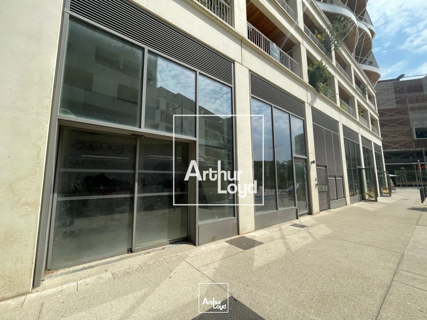 Locaux commerciaux - Location - MONTPELLIER - 34000 - 135-306 - 7856370