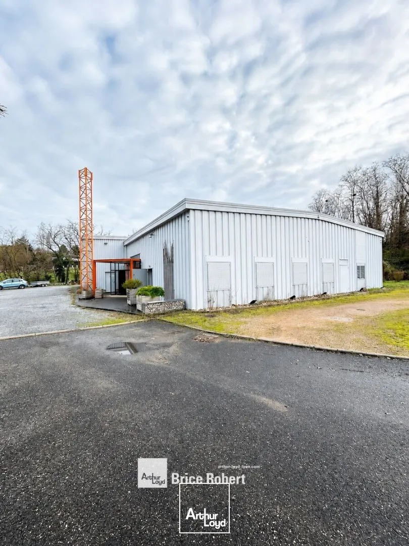 Locaux d'activité & Entrepôts - Location - MARCILLY D'AZERGUES - 69380 - 730-730 - 7856932