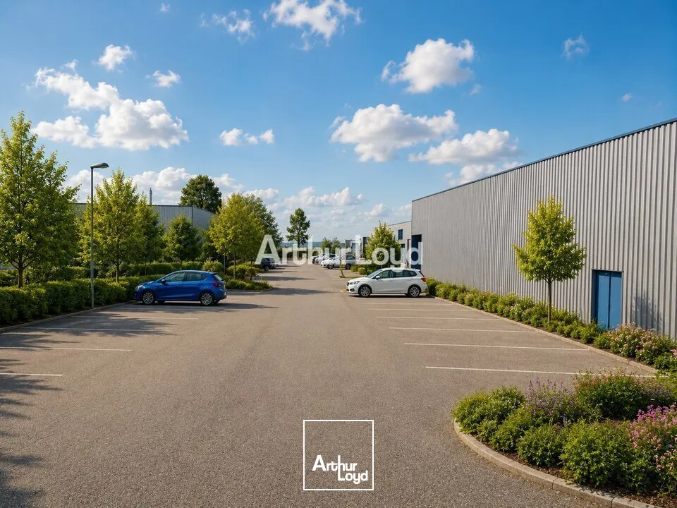 Locaux commerciaux - Location - ÉPINAL - 88000 - 1836-1836 - 7857036