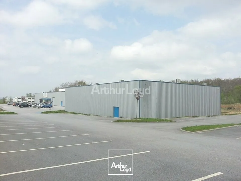 Locaux commerciaux - Location - ÉPINAL - 88000 - 1836-1836 - 7857037