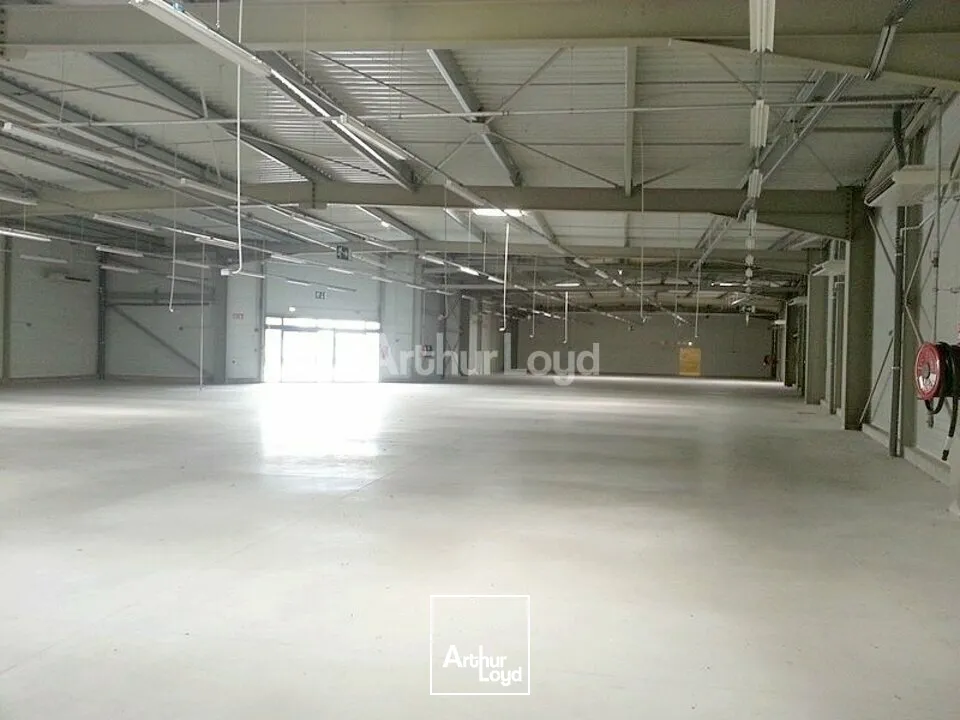 Locaux commerciaux - Location - ÉPINAL - 88000 - 1836-1836 - 7857033