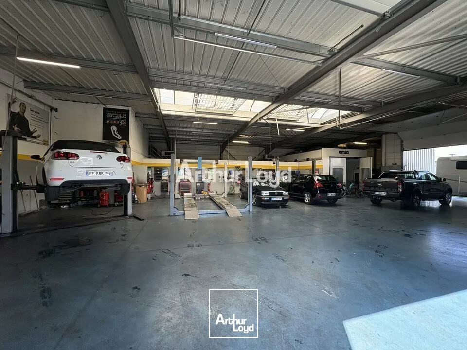 Locaux d'activité & Entrepôts - Vente - WISSEMBOURG - 67160 - 723-723 - 7857051