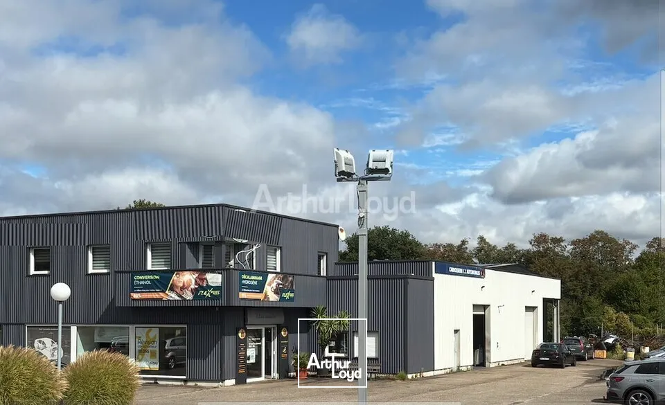 Locaux d'activité & Entrepôts - Vente - WISSEMBOURG - 67160 - 723-723 - 7857048