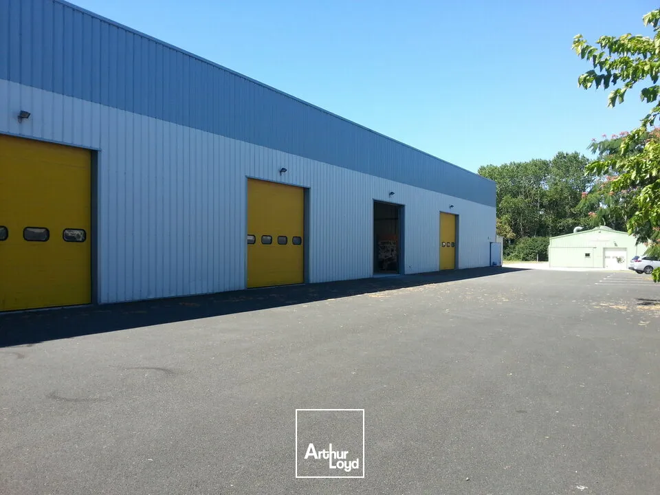 Locaux d'activité & Entrepôts - Location - ANTRAN - 86100 - 75-75 - 7857095