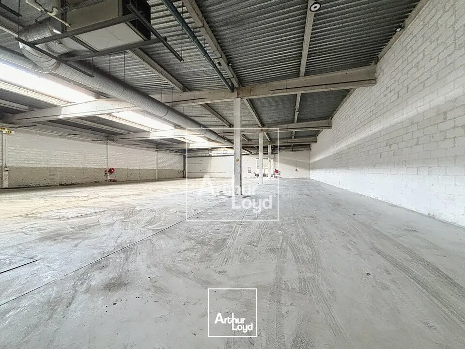 Locaux d'activité & Entrepôts - Location - MOISSY CRAMAYEL - 77550 - 2744-2744 - 7857880