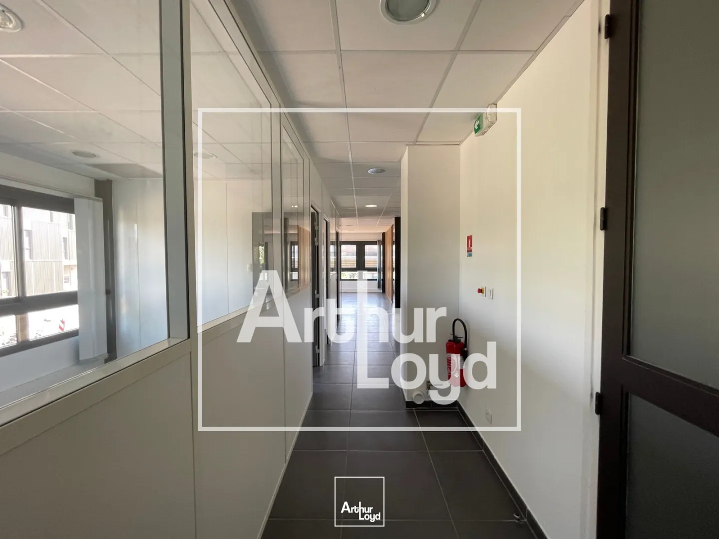 Bureaux - Vente - MONTPELLIER - 34000 - 302.5-302.5 - 7857978