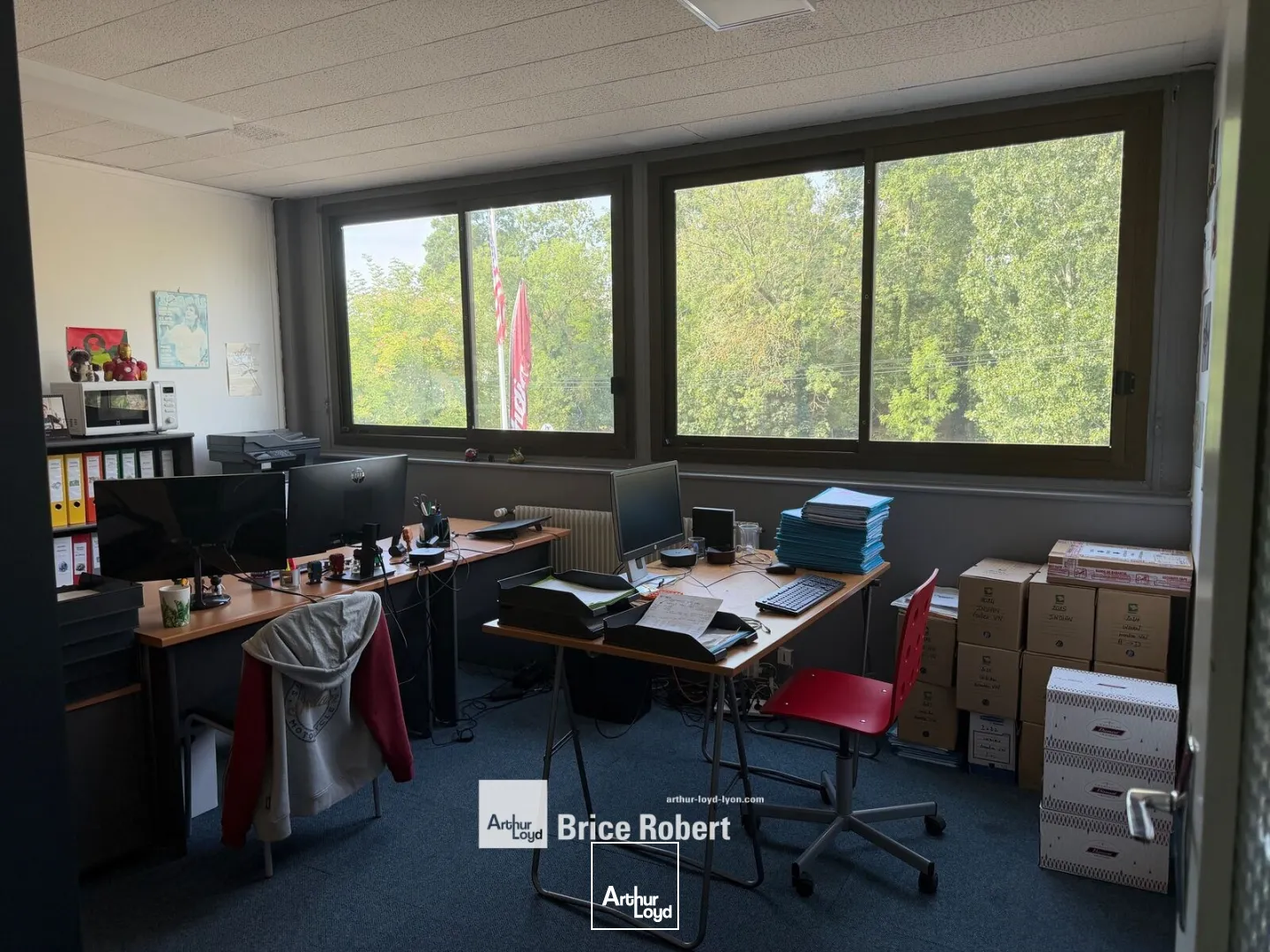 Locaux d'activité & Entrepôts - Location - LIMONEST - 69760 - 1300-1300 - 7858463