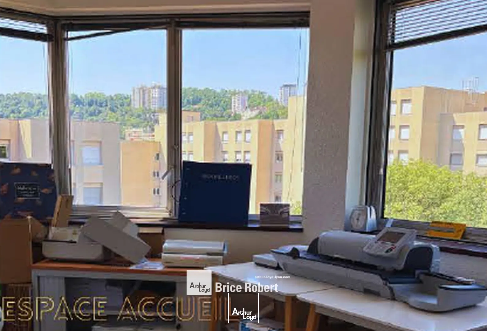 Bureaux - Location - LYON - 69004 - 887-887 - 7858468