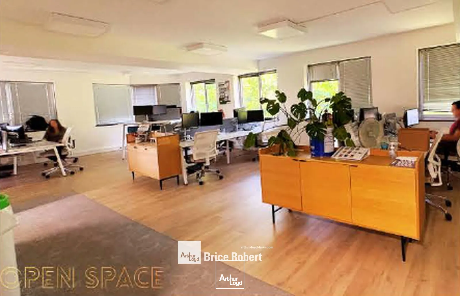 Bureaux - Location - LYON - 69004 - 887-887 - 7858472