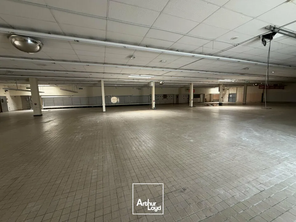 Locaux commerciaux - Location - BLANZAC-LÈS-MATHA - 17160 - 1421-1421 - 7858611