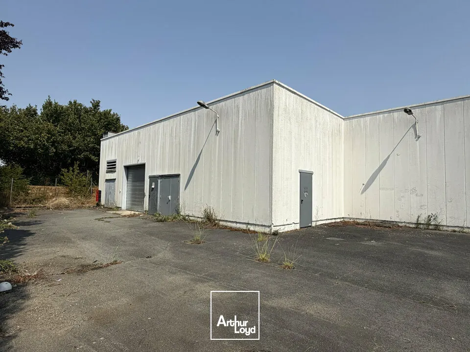 Locaux commerciaux - Location - BLANZAC-LÈS-MATHA - 17160 - 1421-1421 - 7858612