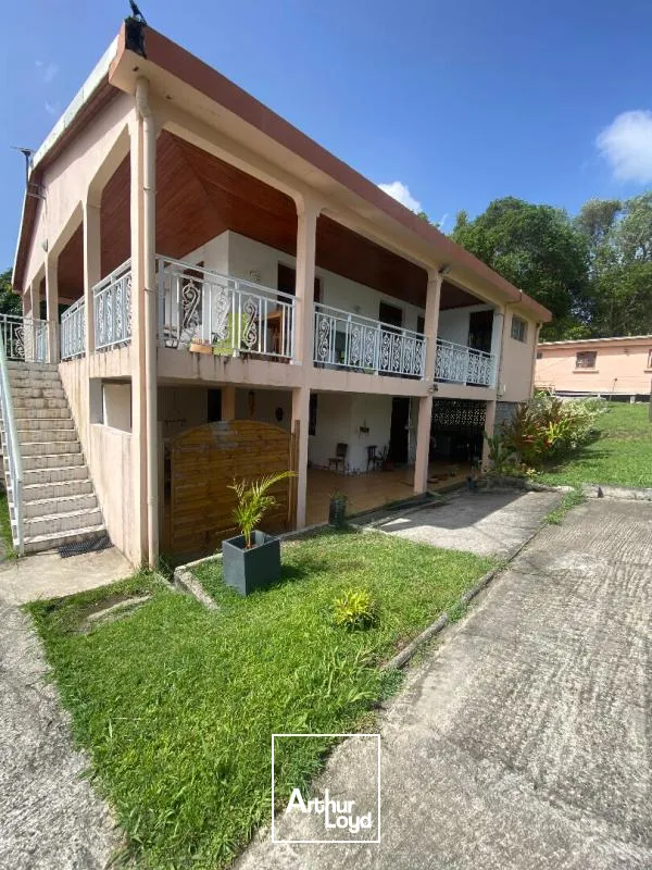 Locaux commerciaux - Location - Riviere Salee - 97215 - 85-85 - 7859306
