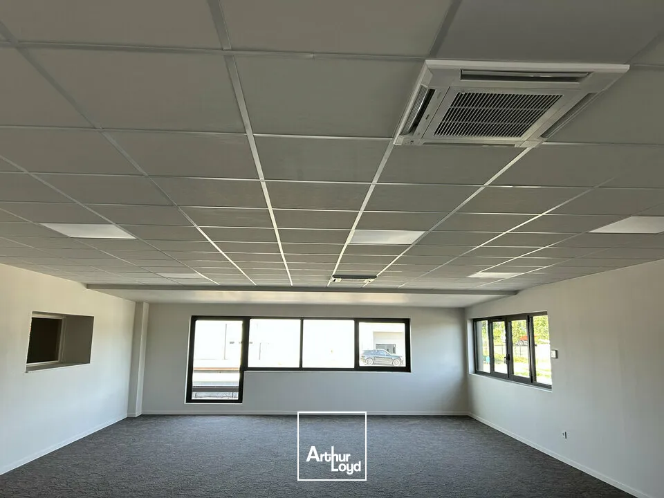 Bureaux - Location - DIDENHEIM - 68350 - 185.8-185.8 - 7867901