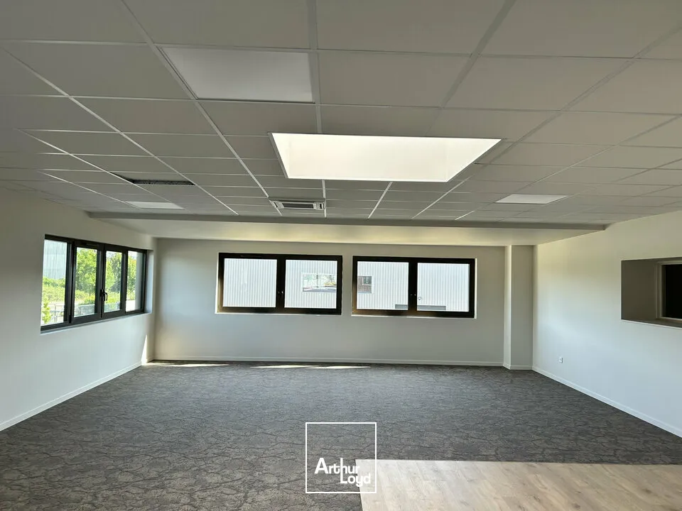 Bureaux - Location - DIDENHEIM - 68350 - 185.8-185.8 - 7867903