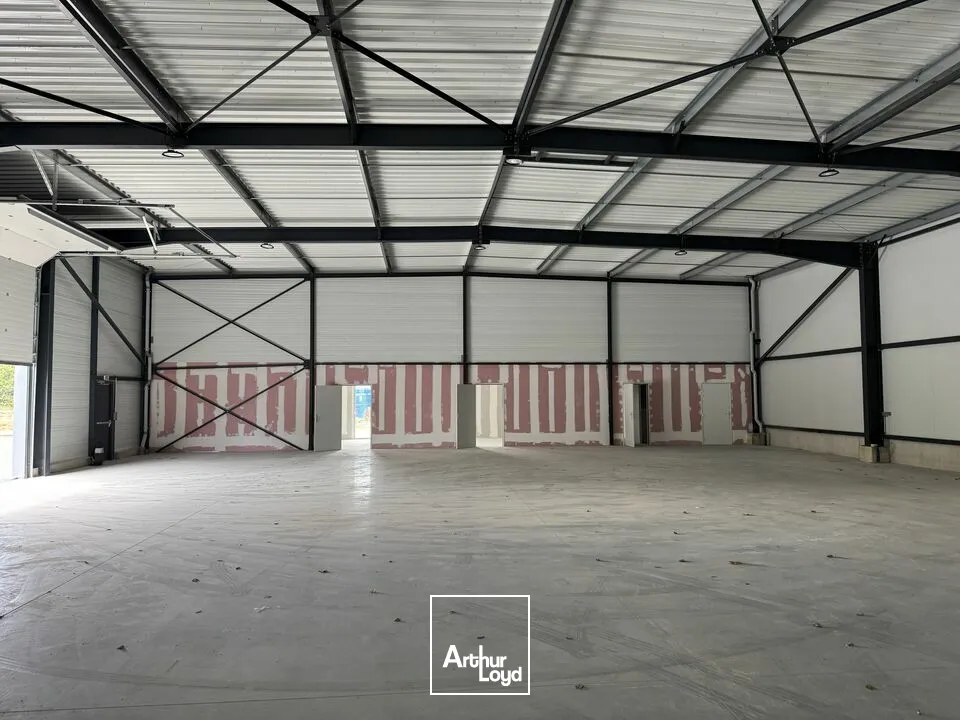 Locaux d'activité & Entrepôts - Location - JOUÉ-LÈS-TOURS - 37300 - 838-838 - 7867972