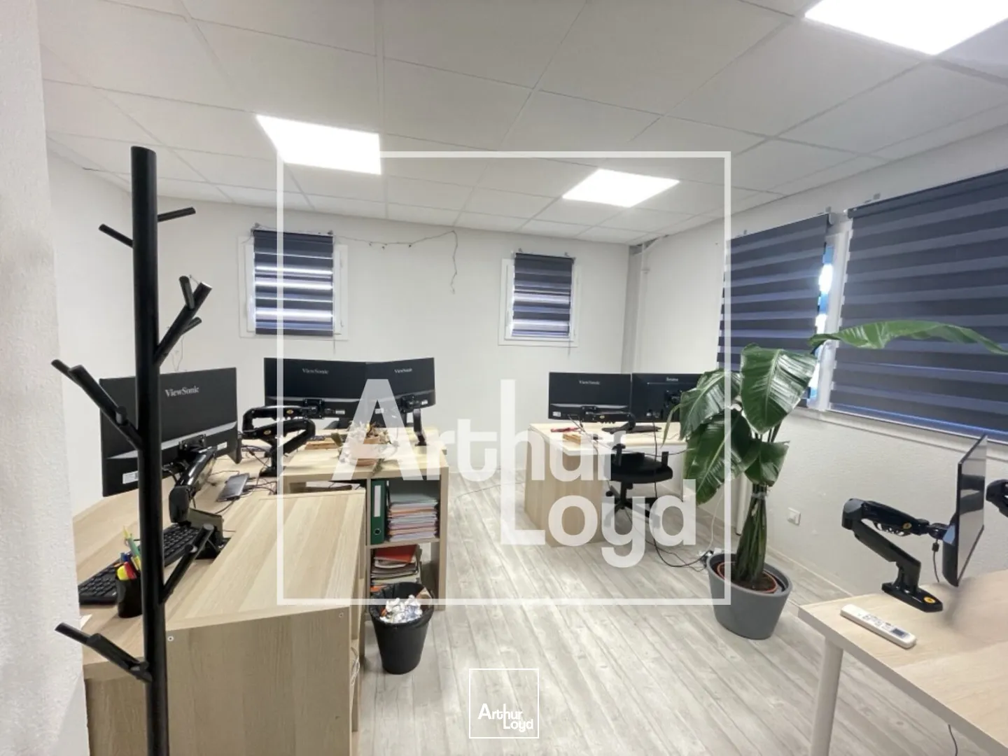 Bureaux - Location - PEROLS - 34470 - 100-300 - 7869864