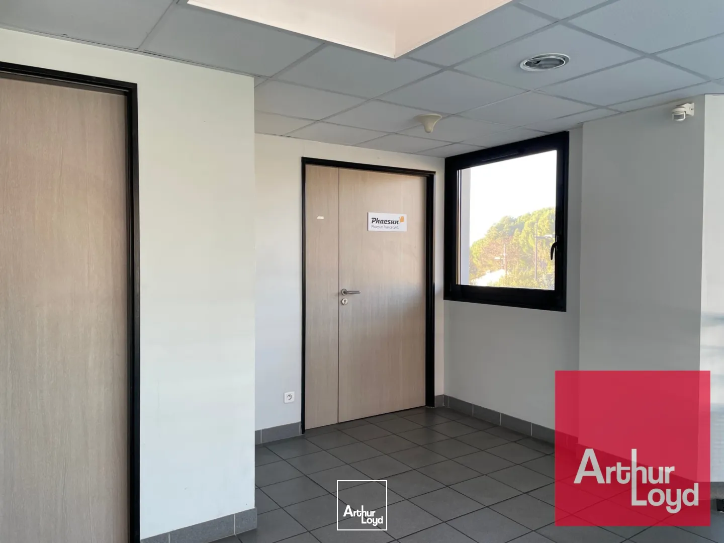 Bureaux - Location - MONTPELLIER - 34070 - 100-100 - 7869876