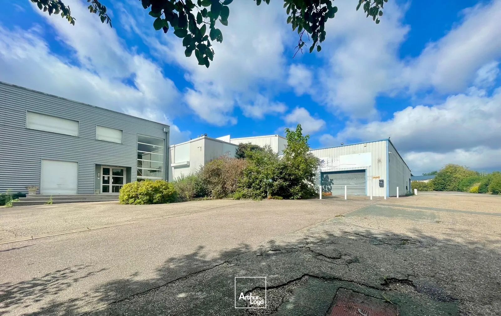 Locaux d'activité & Entrepôts - Location - DARNETAL - 76160 - 1470-1470 - 7870471