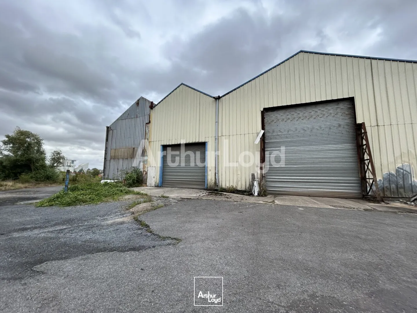 Locaux d'activité & Entrepôts - Location - MARLY - 59770 - 2420-2420 - 7871539