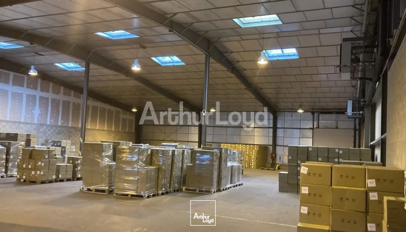 Locaux d'activité & Entrepôts - Location - GRAVELINES - 59820 - 157-973 - 7872190