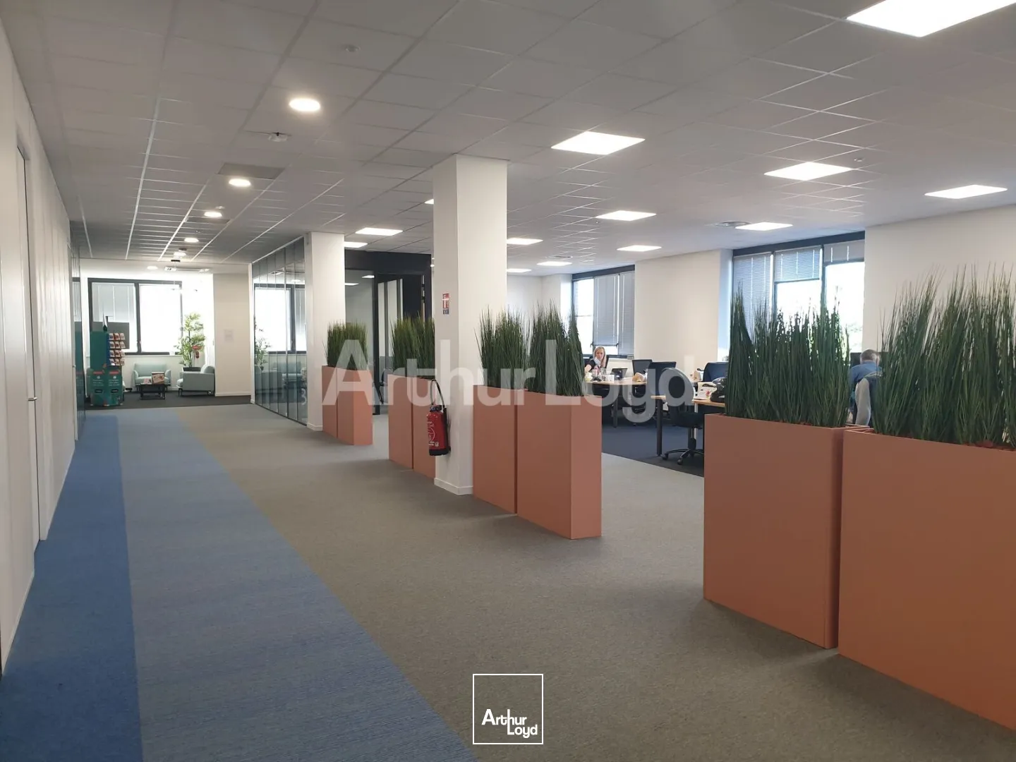 Bureaux - Location - CROIX - 59170 - 2654-2654 - 7873884