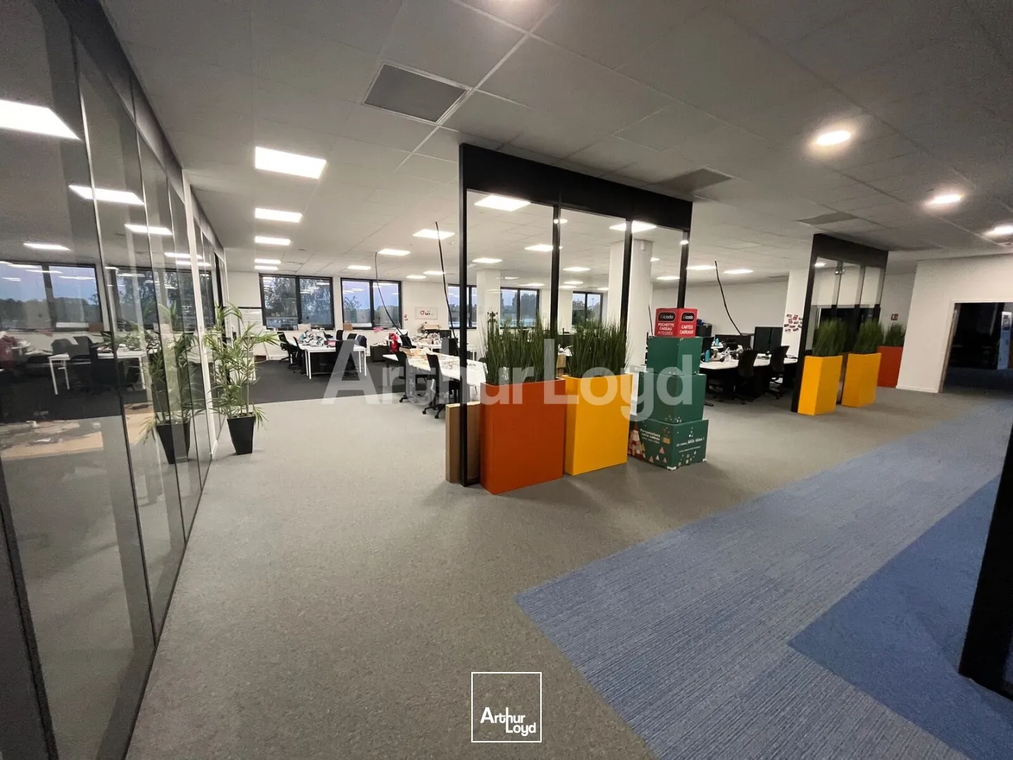Bureaux - Location - CROIX - 59170 - 2654-2654 - 7873888