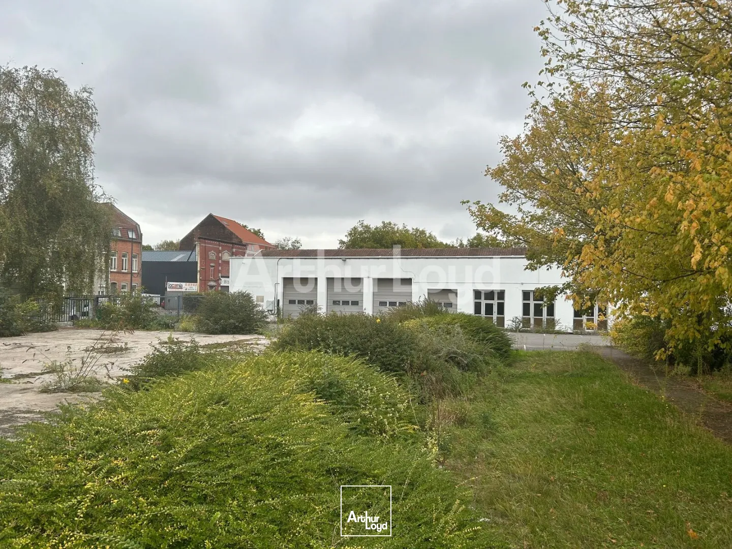 Bureaux - Location - ROUBAIX - 59100 - 4907.8-4907.8 - 7873970