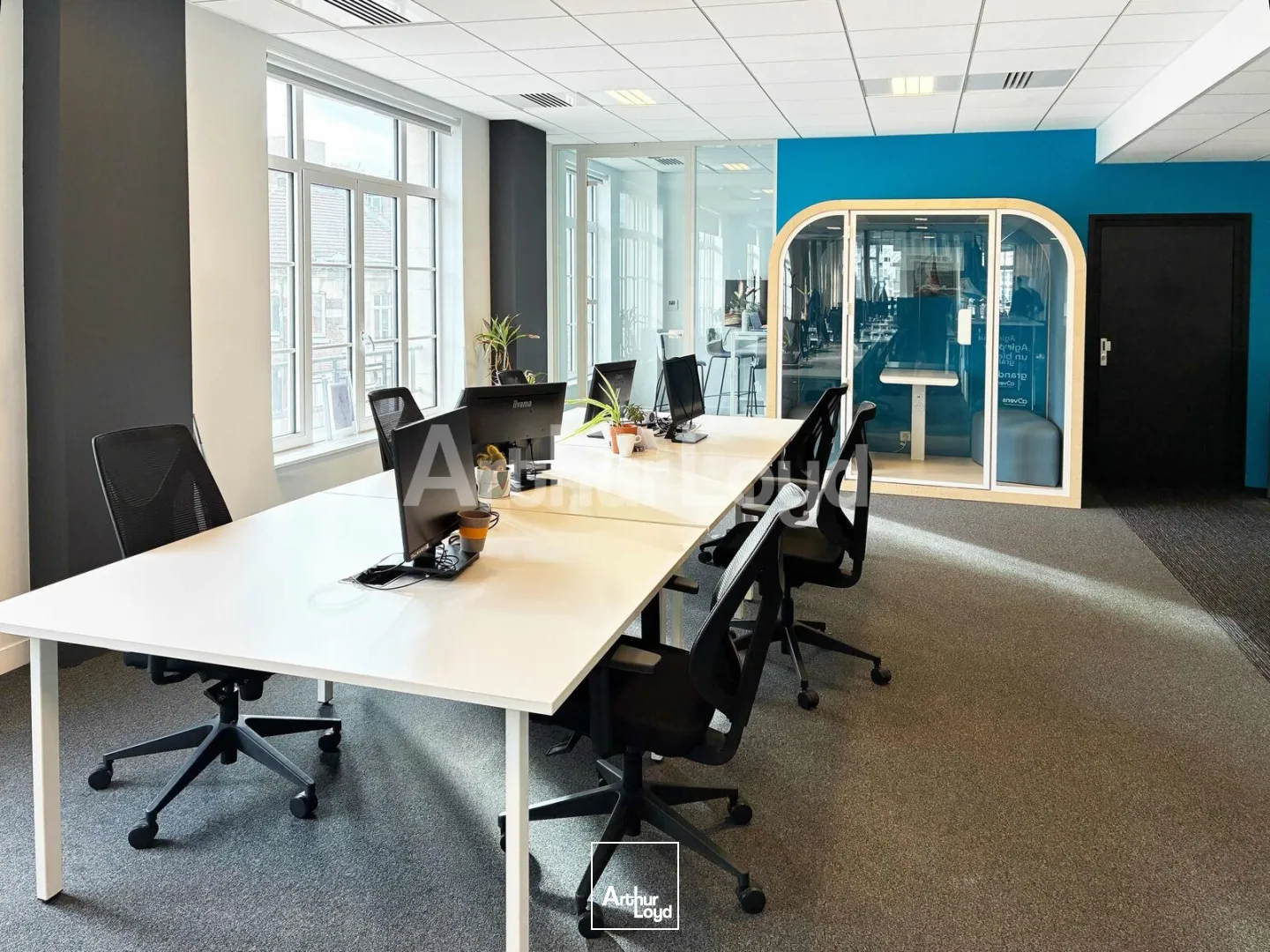 Bureaux - Location - LILLE - 59000 - 273-551 - 7874613