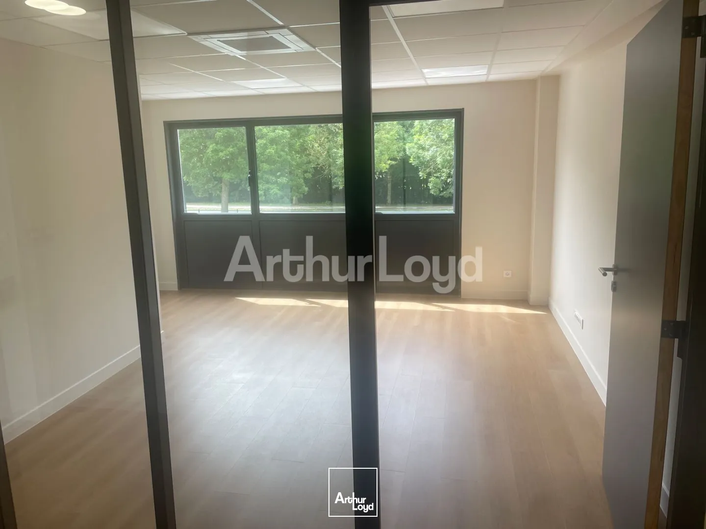 Bureaux - Location - MONCHY LE PREUX - 62118 - 295-295 - 7874654