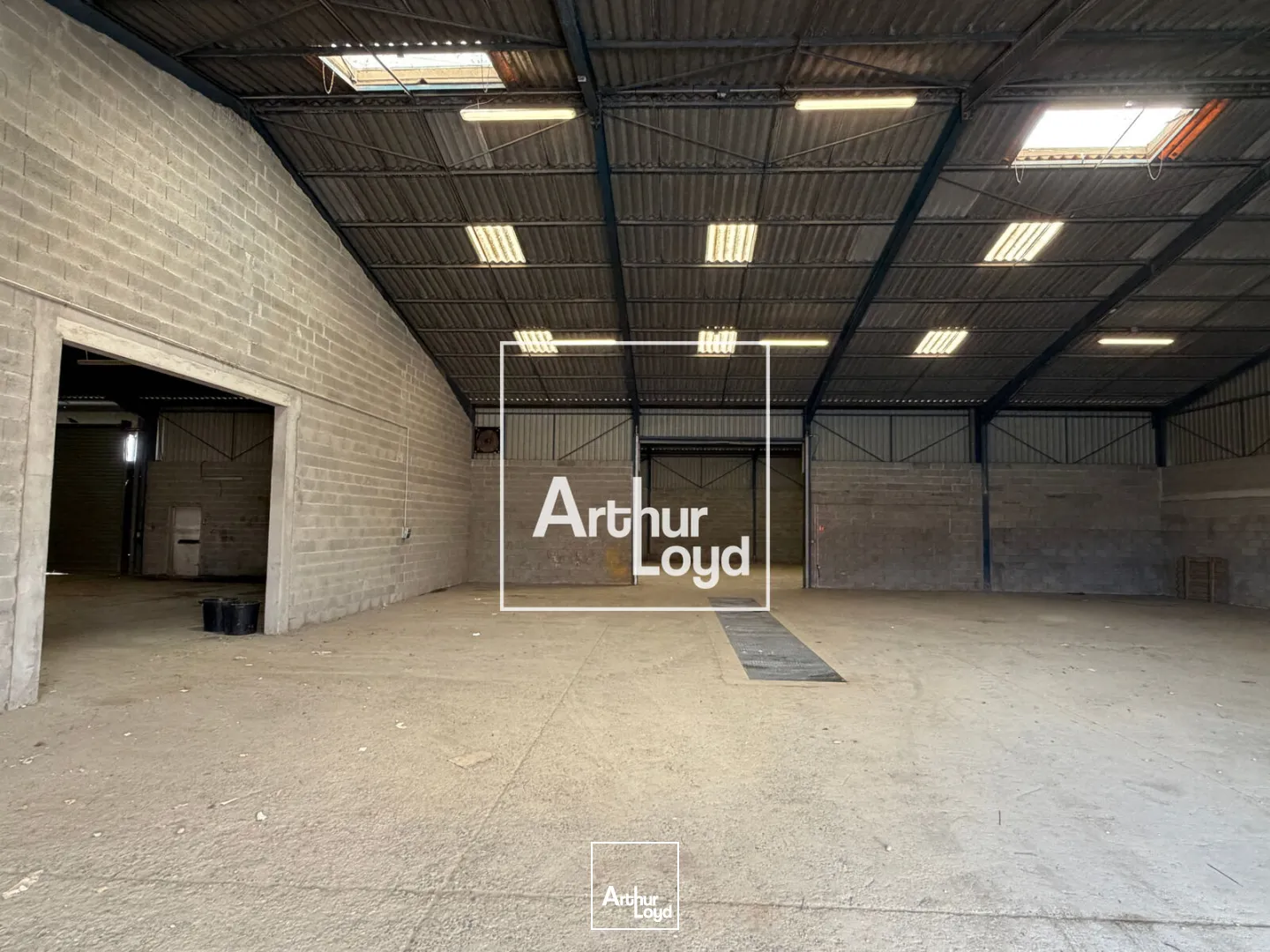 Locaux d'activité & Entrepôts - Vente - COLOMIERS - 31770 - 1018-1018 - 7874668
