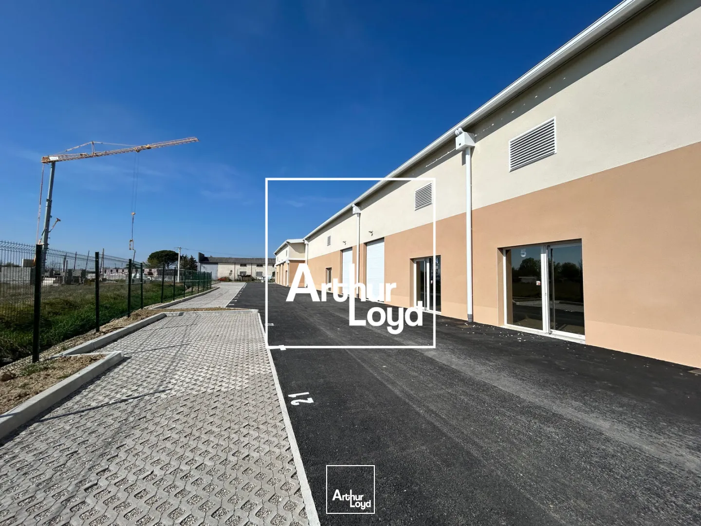 Locaux d'activité & Entrepôts - Location - CASTELGINEST - 31780 - 70-900 - 7874686