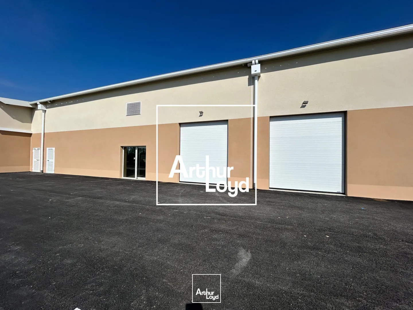Locaux d'activité & Entrepôts - Location - CASTELGINEST - 31780 - 70-900 - 7874684