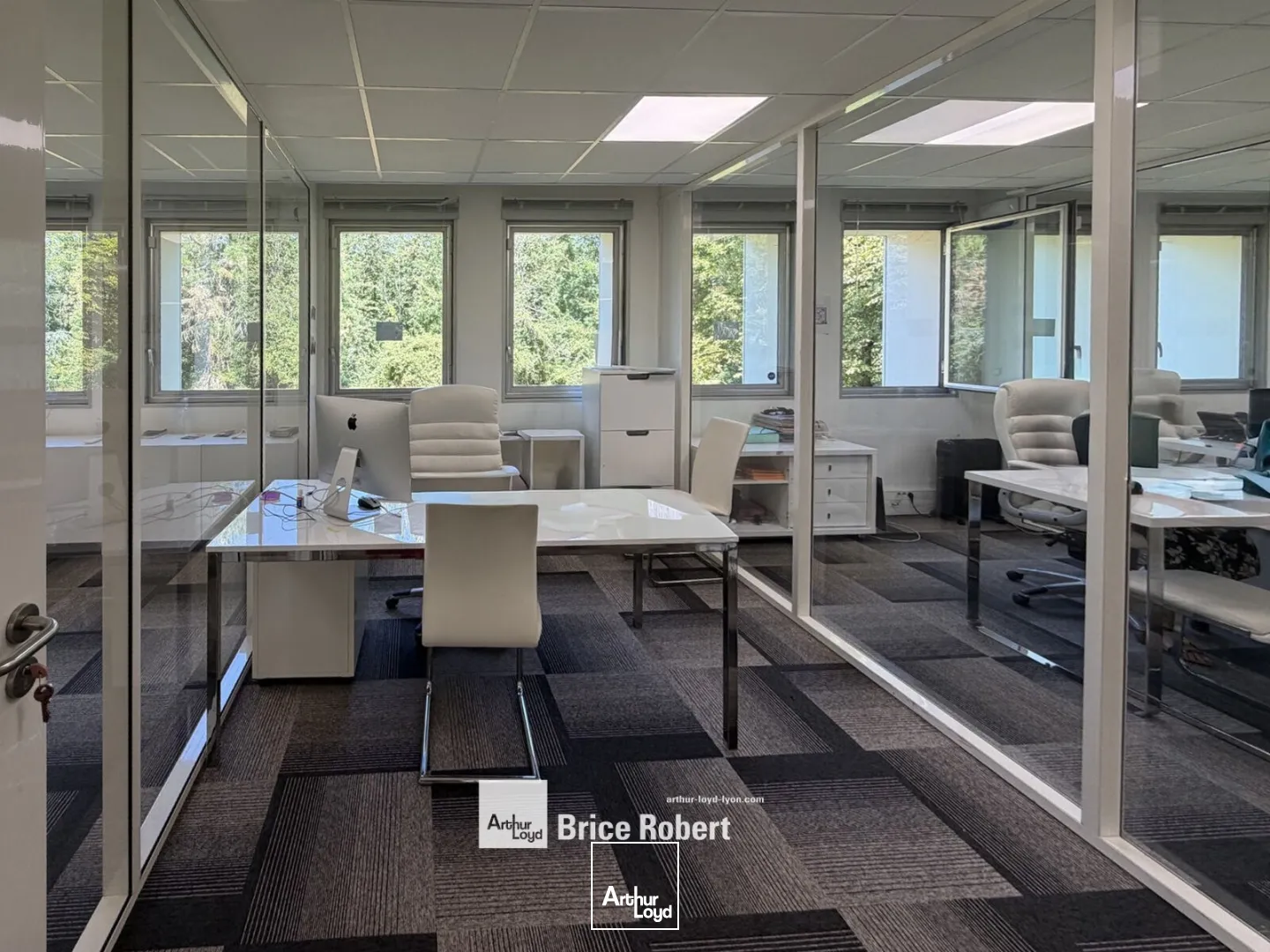 Bureaux - Vente - ECULLY - 69130 - 217-217 - 7876315