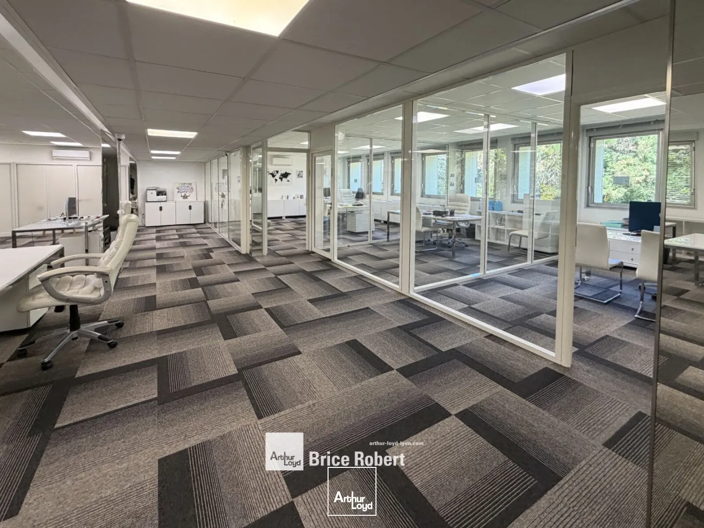 Bureaux - Vente - ECULLY - 69130 - 217-217 - 7876313